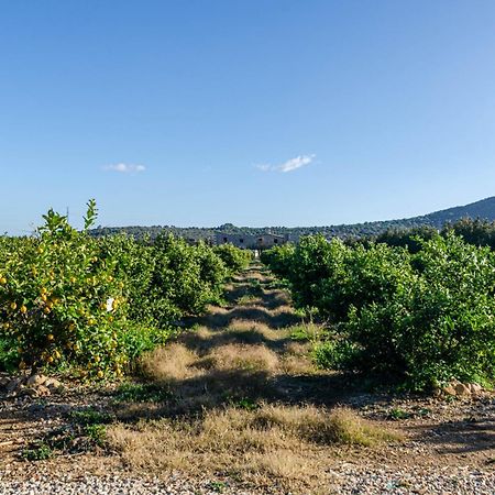 El Limonar De Mallorca - Agroturismo Ballerics Esterno foto